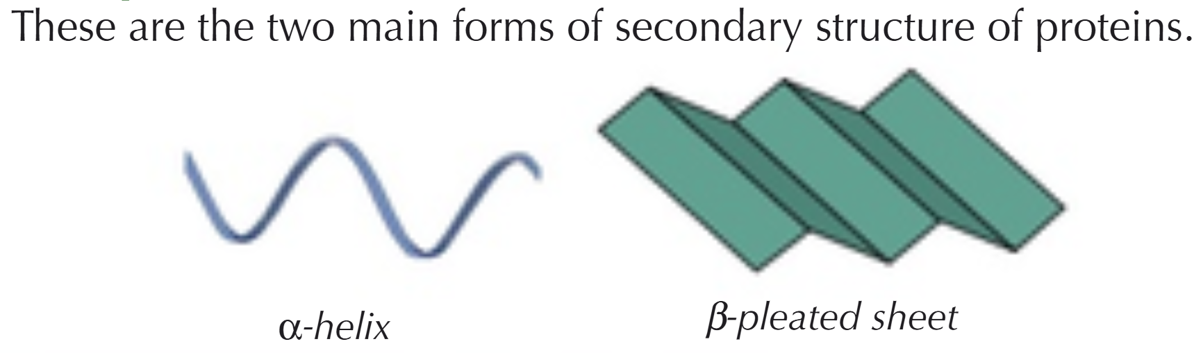 <p><span>The folding of the primary structure into an alpha-helix or beta-pleated sheet due to formation of hydrogen bonds </span></p>