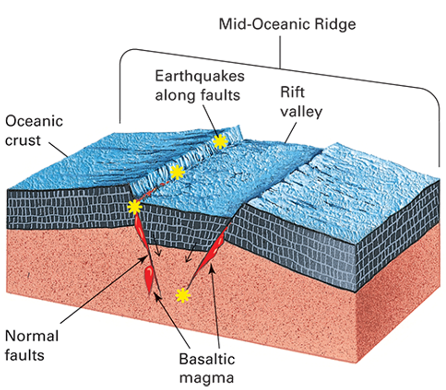 <p>what is happening in this picture?</p>