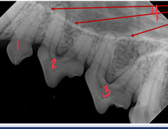 <p>What are the arrows of 4 pointing to?</p>