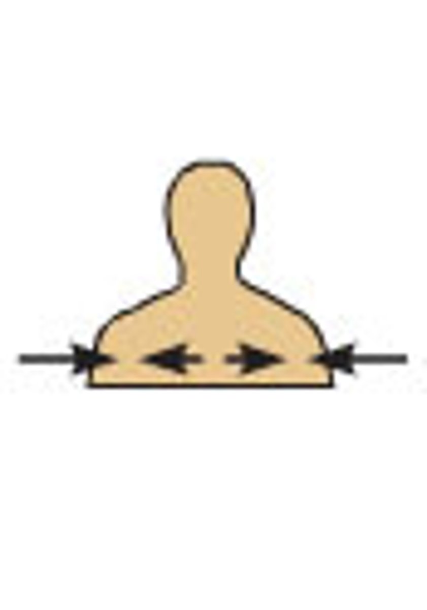 <p>Between a more medial and a more lateral structure. Ex: the collarbone is intermediate between the breastbone and shoulder</p>