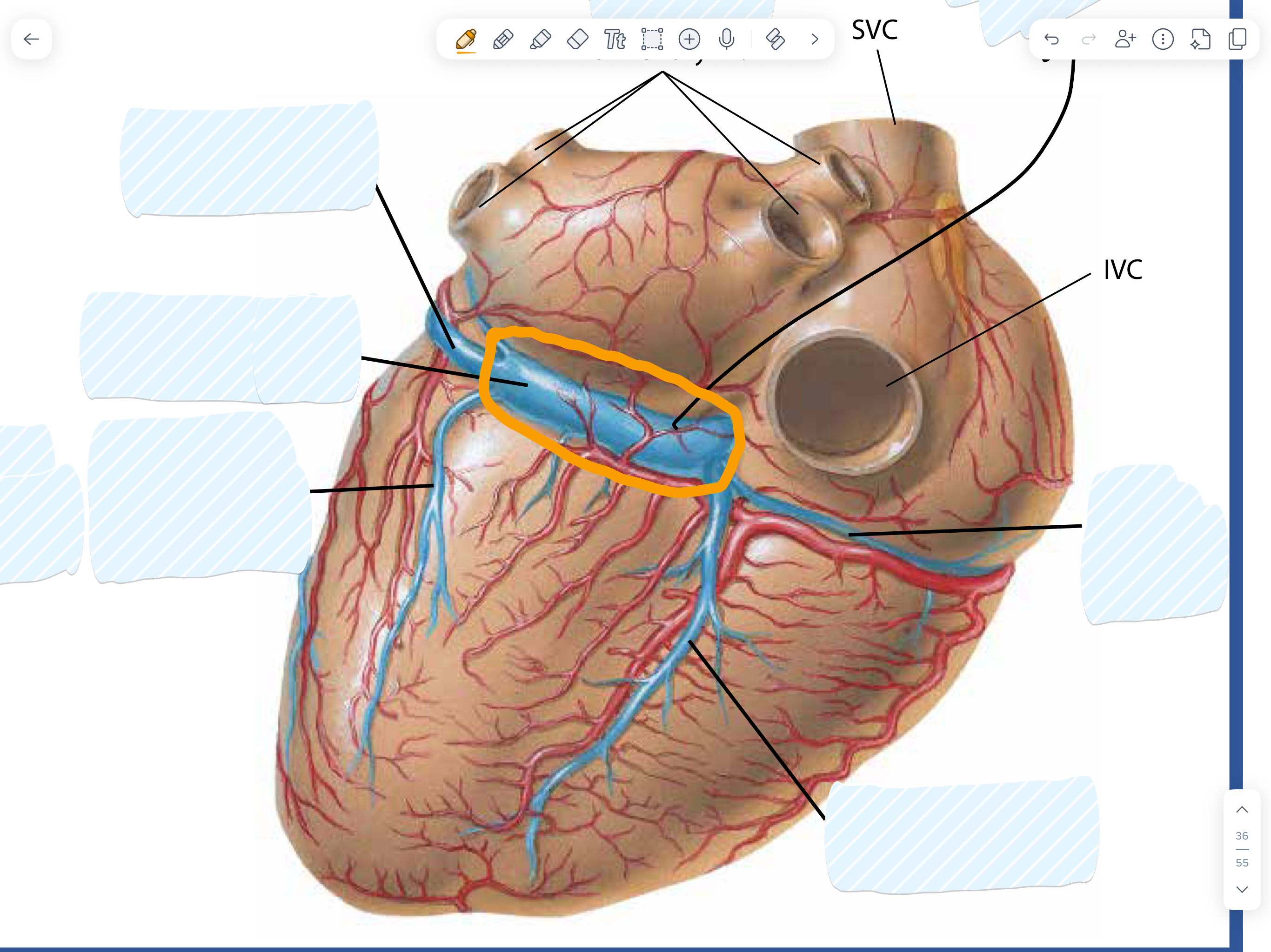 knowt flashcard image