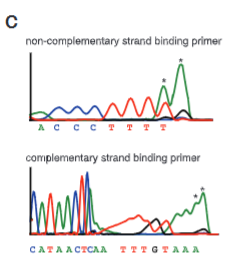 <p>explain fig 1C jinik</p>
