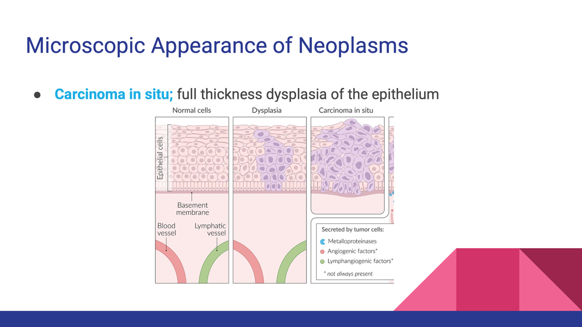 <p>carcinoma in situ </p>