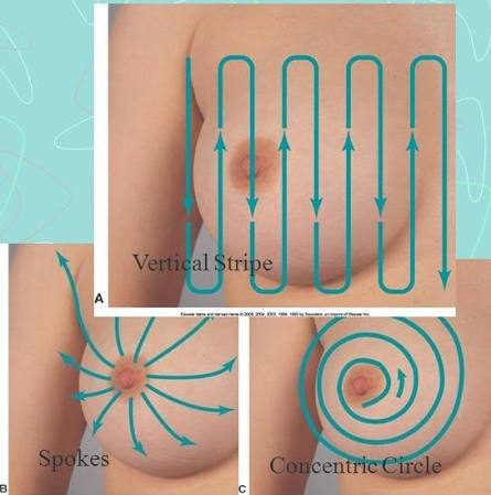<p>Vertical strip, spokes on a wheel, concentric circles</p><p>And of course - include tail of spence!!!!</p>