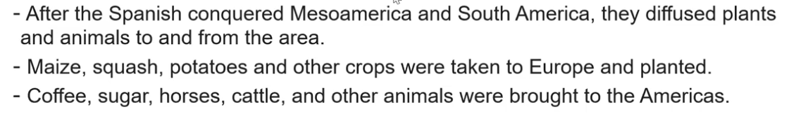 <p>After the Spanish conquered Mesoamerica and South America, they diffused plants and animals to and from the area.</p><p>Maize, squash, potatoes and other crops were taken to Europe and planted.</p><p>Coffee, sugar, horses, cattle, and other animals were brought to the Americas.</p>