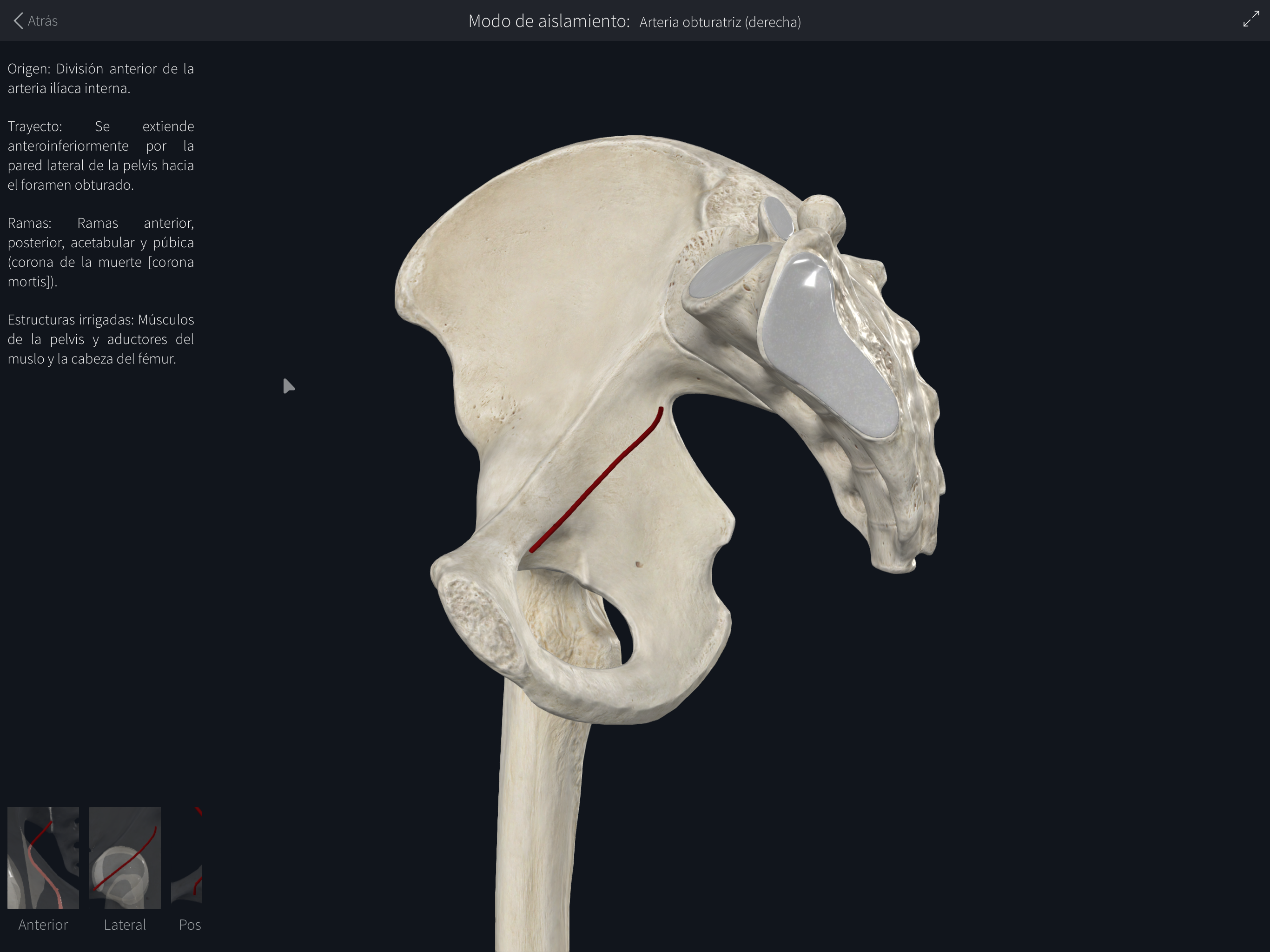 <p>¿Qué es esto?</p>