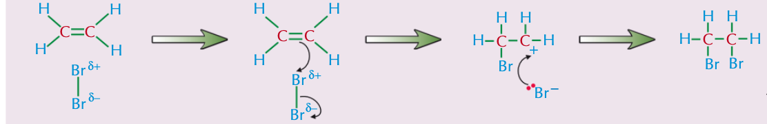 <p>Halogens will react with alkenes to form dihalogenoalkanes — the halogens add across the double bond, and each of the carbon atoms ends up bonded to one halogen atom. It's an electrophilic addition reaction.</p>
