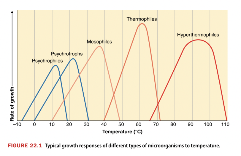 <p>Psychrophilie (0 to 20<sup>o</sup>C)</p><p>Psychrotrophic (20 to 30<sup>o</sup>C)</p><p>Mesophilie (25 to 40<sup>o</sup>C)</p><p>Thermophilic (45 to 65<sup>o</sup>C)</p><p>Hyperthermophilie (80<sup>o</sup>C or higher)</p>