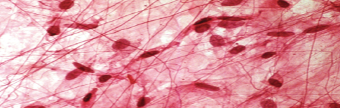 <p>Slide 17</p>