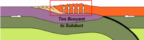 <p><span>The area highlighted by the </span><strong>red box</strong><span> in the figure above is a representation of which of the following </span><strong>tectonic settings</strong><span>?</span></p>