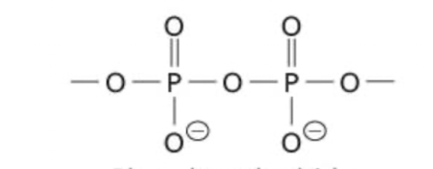 <p>A functional group consisting of two P-O bonds adjacent to one another (POP), where each phosphorus is a phosphate group</p>
