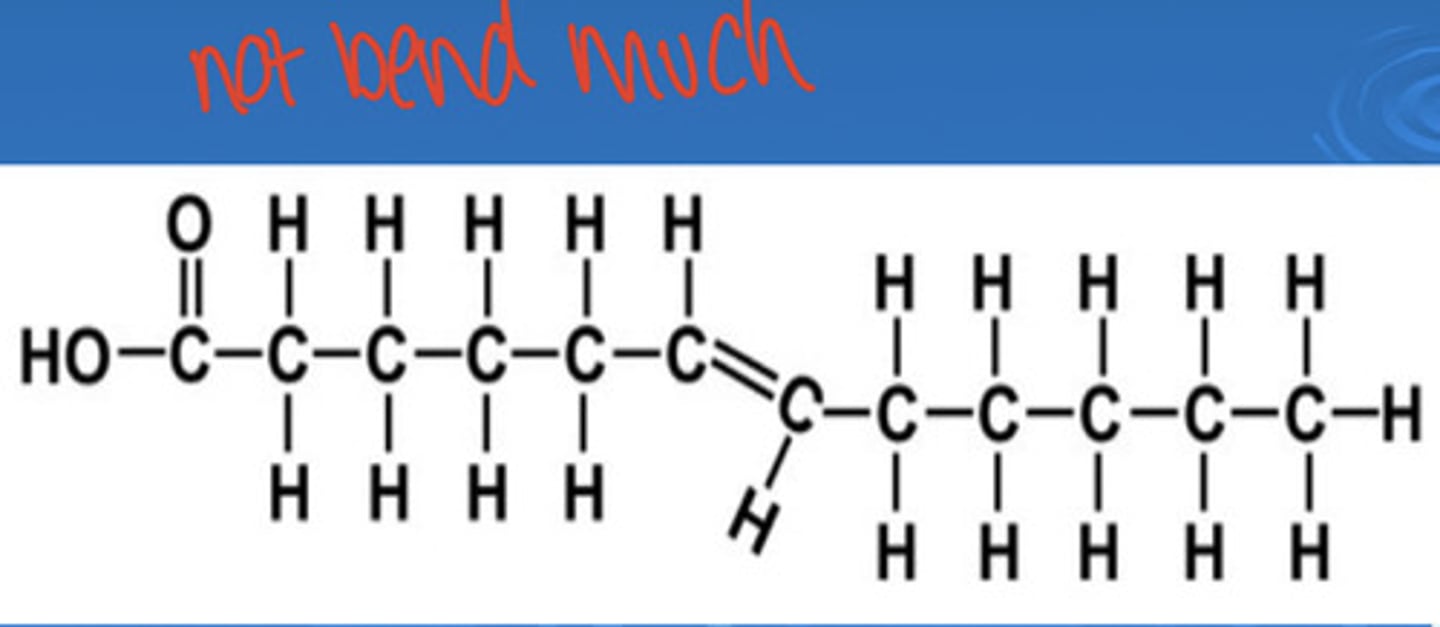 <p>hydrogen bonds are on opposite sides</p>
