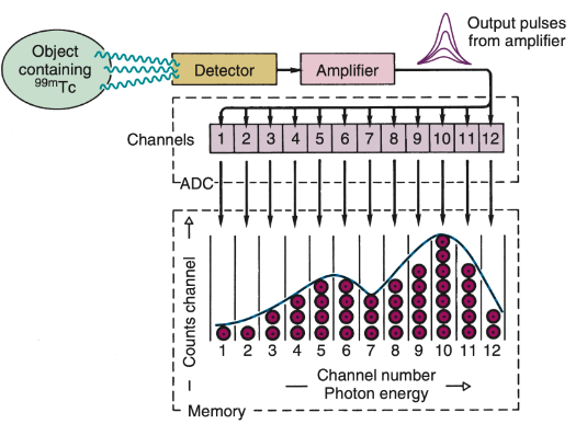 <p>Analog-to-digital converter (ADC). It measures and sorts out incoming pulses according to their amplitudes then categorizes them into a finite number of discrete intervals; 100 to 2<sup>16</sup></p>
