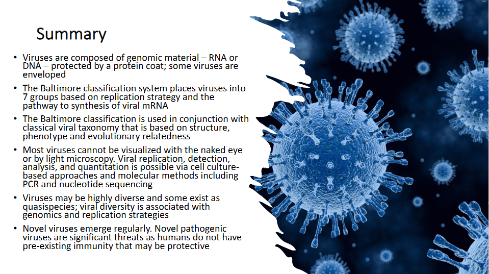 <p>Summary (Read Carefully)</p>