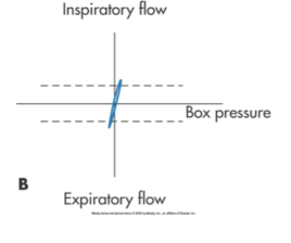 <p>what type is this </p>