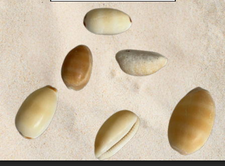 <p>no local name</p>