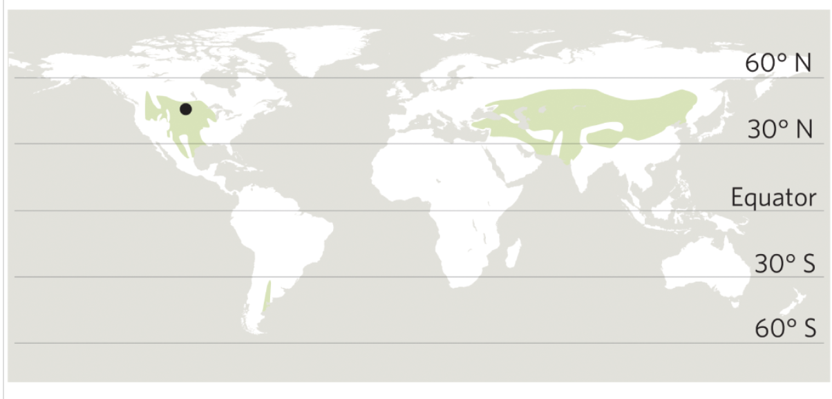 <p>what biome is this based off the description?</p><ul><li><p>temperature and precipitation is highly seasonal; precipitation mostly occurs in spring </p></li><li><p>summers are hot and dry</p></li><li><p>plants are adapted to droughts, fire, and grazing</p></li><li><p>few trees </p></li><li><p>soil is rich in organic material and nutrients </p></li></ul><p></p>