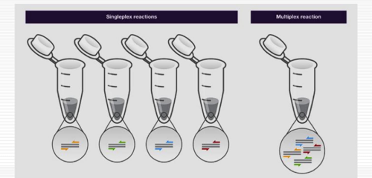 <p>everything is done in one tube and different probes are used to distinguish the different viruses</p><p>- cannot use SYBR green</p>