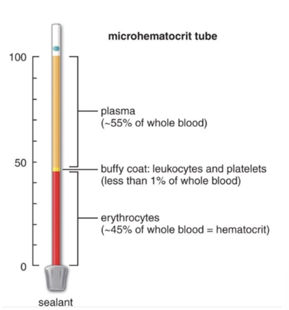 <p>How is hematocrit expressed?</p>