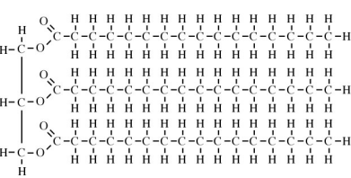 <p>Organic molecules consisting of <u>only</u> carbon and hydrogen</p><ul><li><p>Non-polar → no partial charges, equal sharing of valence electrons, <strong>hydrophobic</strong></p></li></ul><p></p>
