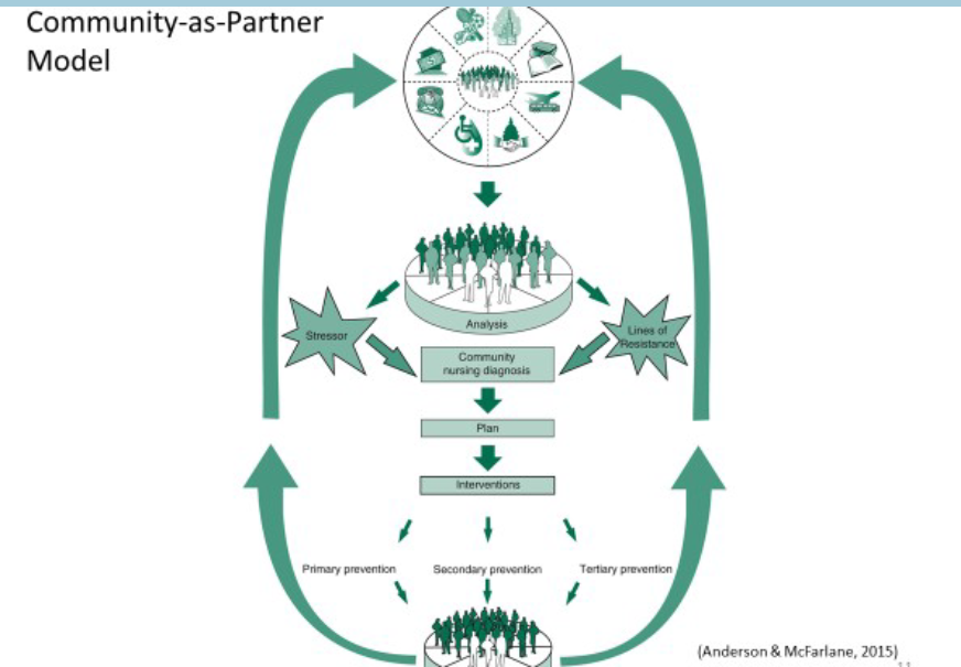 <p>Community as Partner Model cont. </p>