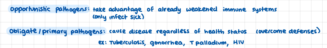 <p>TB, gonorrhea, T palladium, HIV</p>