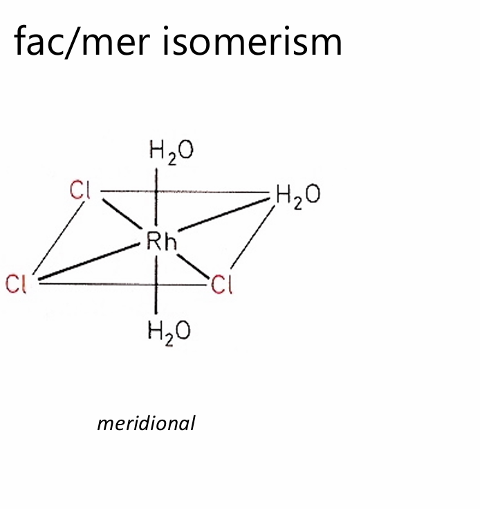 <p>meridional (mer)</p>
