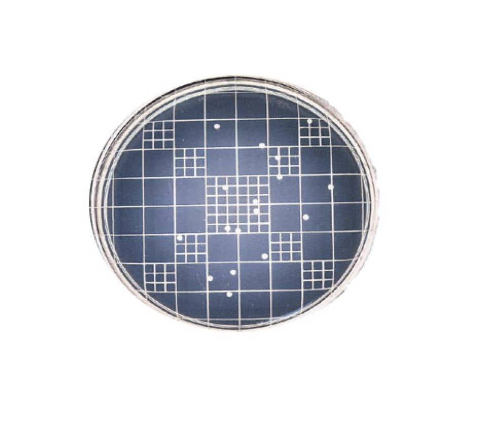 <p>Is this a countable plate?</p>