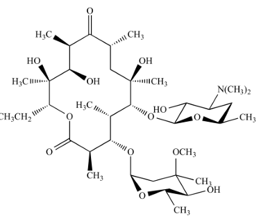 <p>[MACROLIDES]</p><p>a. Erythromycin (Ilotycin)</p><p>b. Clarithromycin</p><p>c. Azithromycin</p><p>d. Roxithromycin</p>