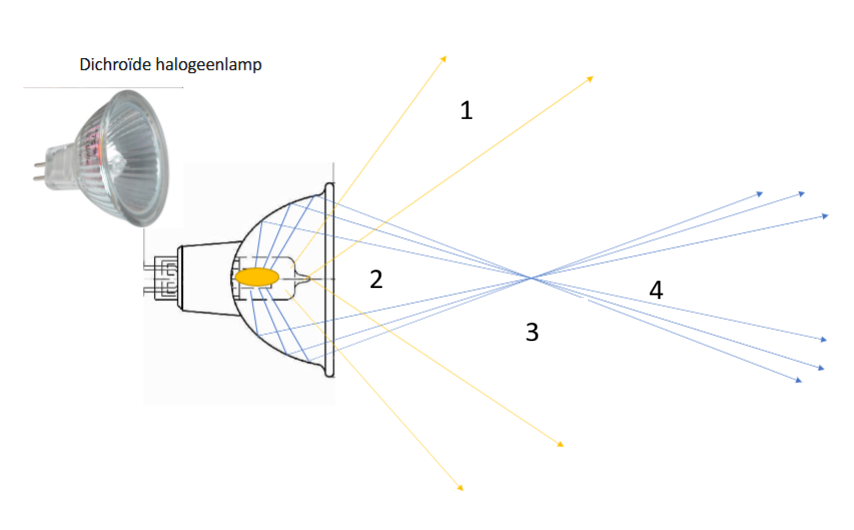 <ol><li><p>strooilicht</p></li><li><p>licht conveert</p></li><li><p>brandpunt</p></li><li><p>licht divergeert</p></li></ol><p></p>