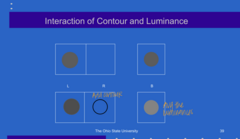 <p>Interaction of Contour and Luminance (Pic)</p>