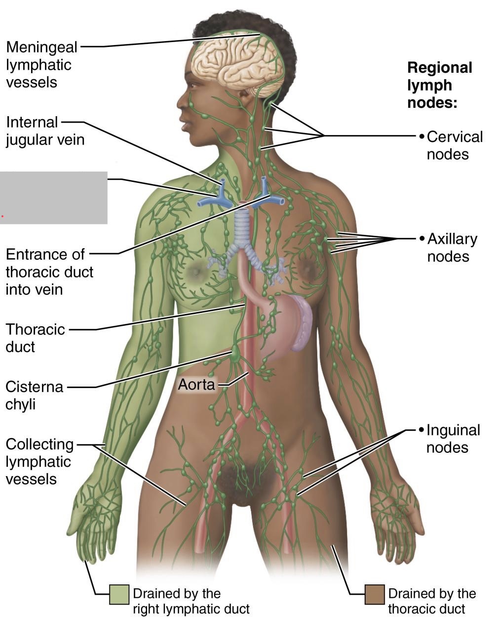<p>What is the grey image?</p>