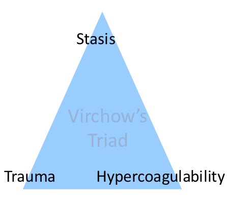 <ul><li><p>Hydration</p></li><li><p>Anaesthetic choice</p></li><li><p>Positioning during surgery</p></li><li><p>Length of surgery</p></li><li><p>Immobility post op</p></li><li><p>Drugs - OCP/HRT</p></li><li><p>Obesity</p></li><li><p>Previous history of DVT/PE</p></li><li><p>Other medical conditions</p></li></ul><p></p>