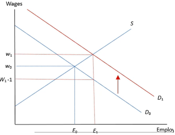 <p>> Shifts the Demand curve up</p><p>> Both wages and employment increase to w1 and E1</p>