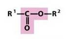 <p>-a carbonyl group bonded to an oxygen with R groups on either side</p>