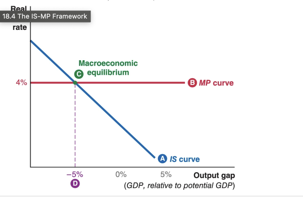<ul><li><p>Is curve - describes the output gap associated with each real interest rate</p></li><li><p>Mp curve - describes the real interest rate set by monetary policy and financial markets </p></li><li><p>Macroeconomic equilibrium - where two curves intersect </p></li></ul><p></p>