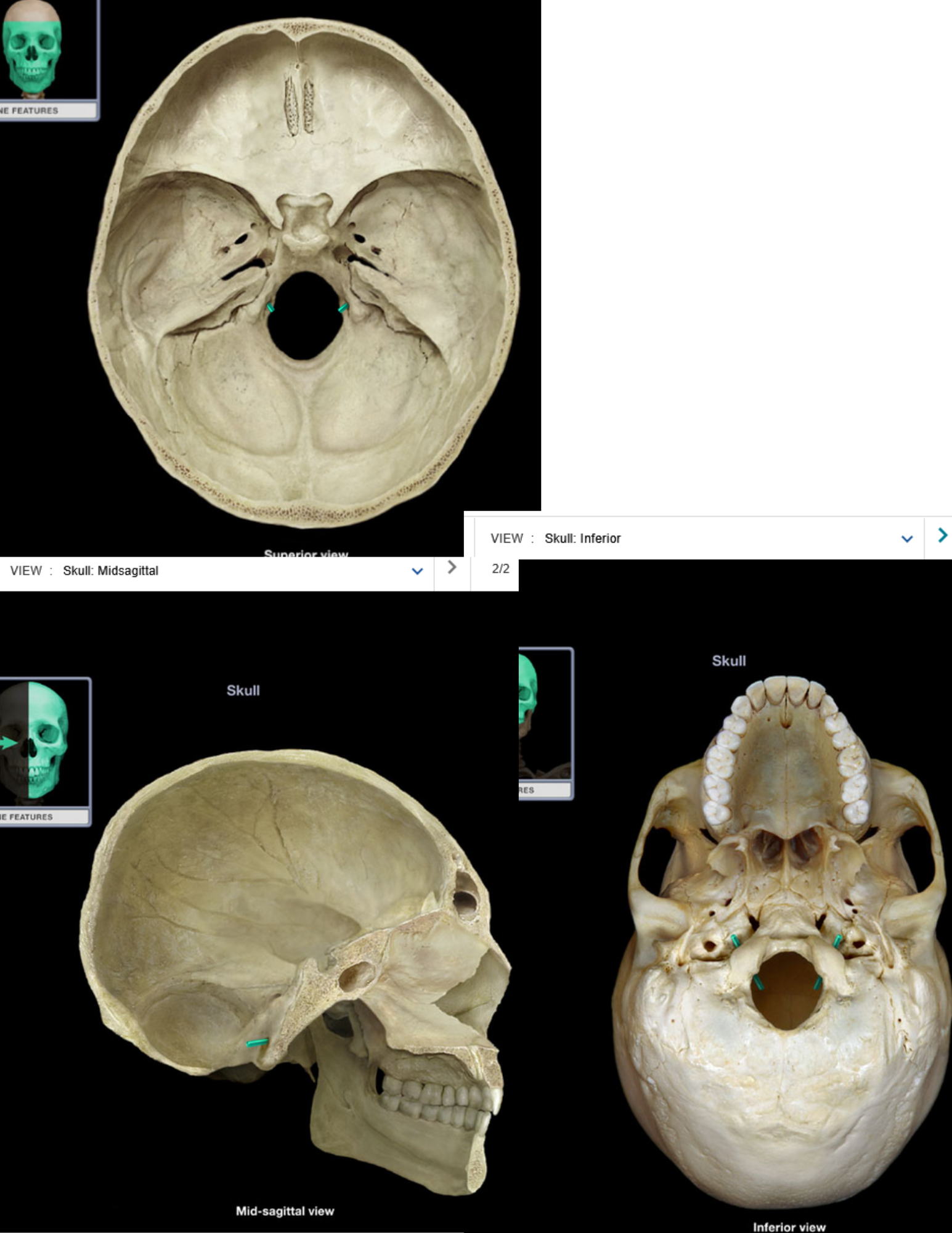 knowt flashcard image