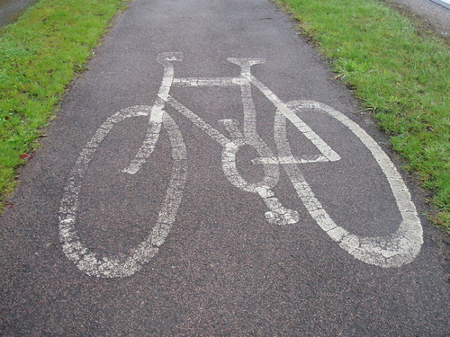 <p>bike path</p>