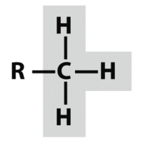 <p>Substituent</p>