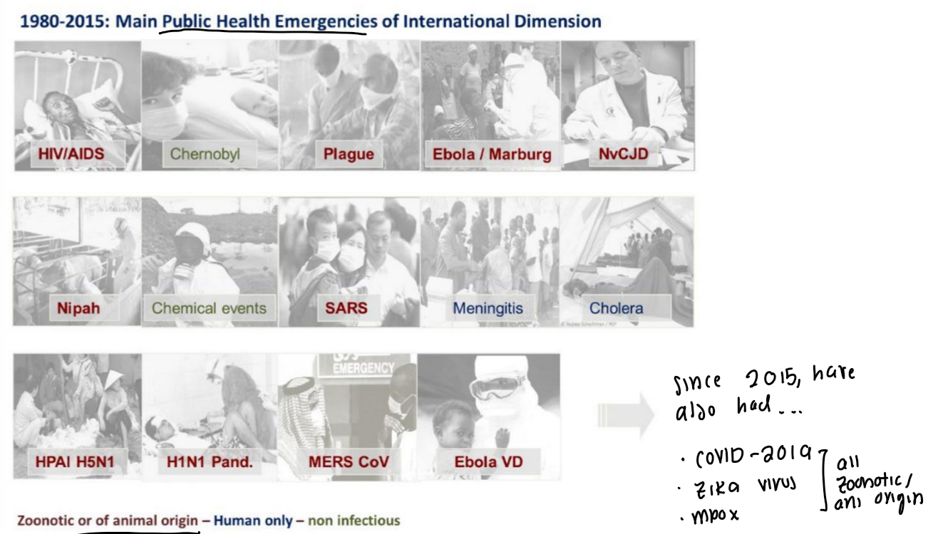 <p>most diseases that become public health emergencies are of animal origin and/or are zoonotic!! (e.g. zika virus, covid-19, plague)</p><p>.</p><p>taking action both proactive &amp; reactively to minimize the danger/impact of acute public health events that endanger ppls health around the world </p><ul><li><p>AKA having strong &amp; resilient health systems that can prevent, detect, &amp; respond to infectious dis threats all around the world  </p></li></ul><p></p>