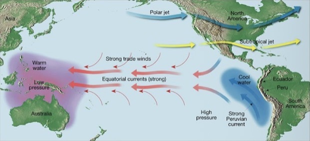 <p><span><span>The Figure below portrays an El Nino condition of the Pacific Ocean, where warm waters are seen in the western Pacific (near Asia) and cool ocean waters are upwelling in the eastern side of the Pacific (near North and South America)</span></span></p>