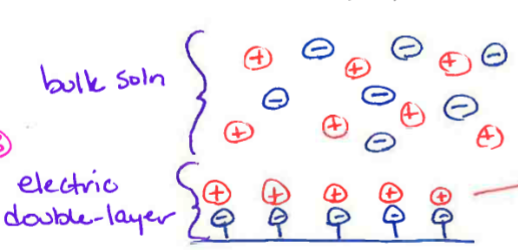 <p>Positive charge of electric double layer are pulled toward cathode pulling entire bulk soln towards cathode</p>