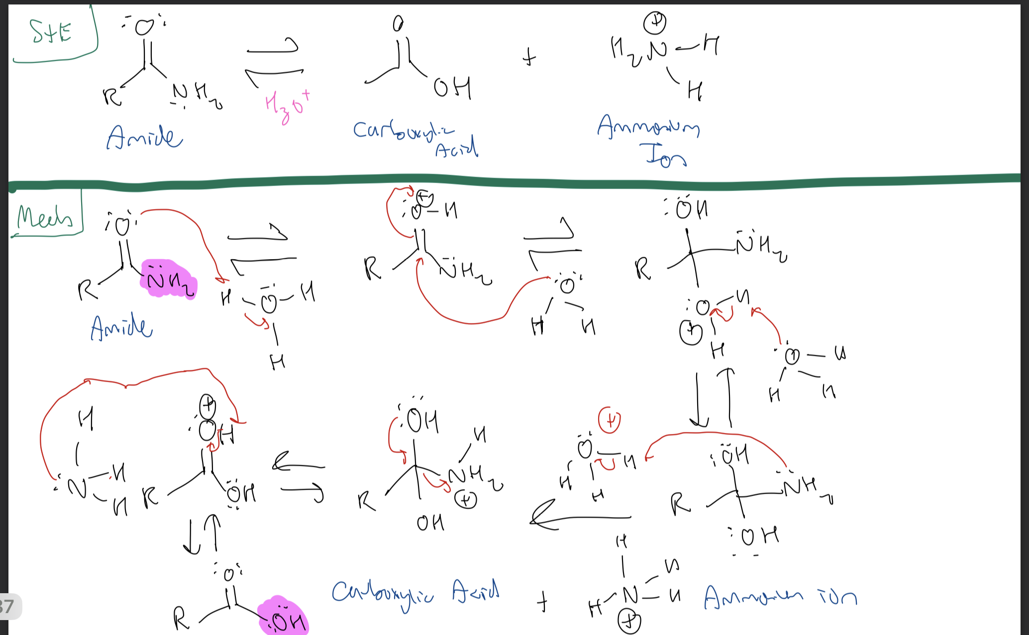 <p><strong>Amide → Carboxylic Acid + Ammonium Ion</strong></p>