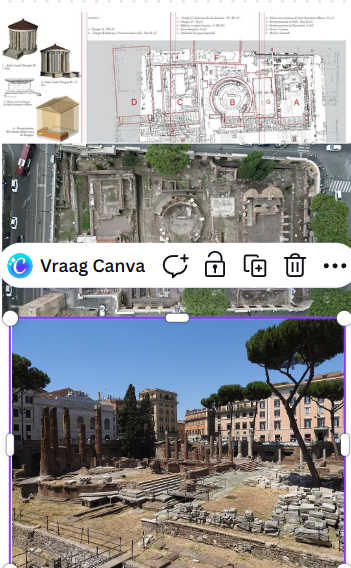 term image