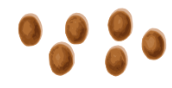 <p>Rate this on the bristol stool chart</p>