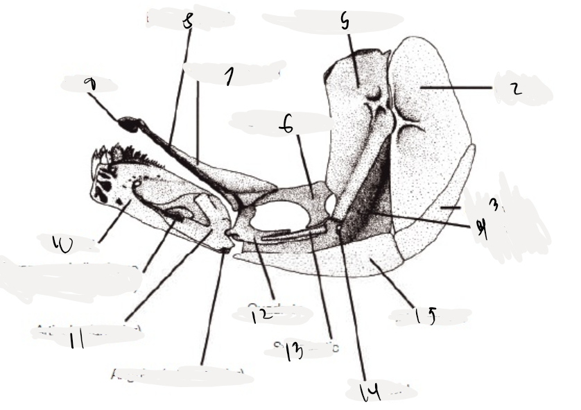 <p>10</p>