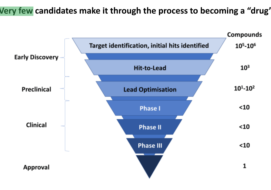 <p>what are the 5 drug discovery & development phases/pipeline</p><ul><li><p>describe the first 3</p></li></ul><p></p>