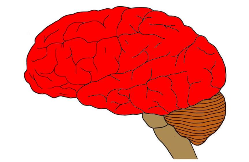 <p>What structure is shown.</p>
