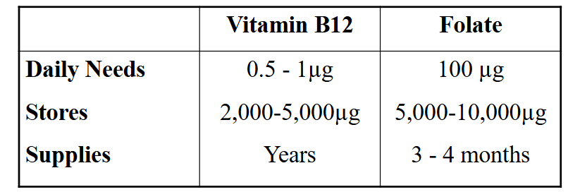<p>DIAGRAM ON SLIDE 48</p>