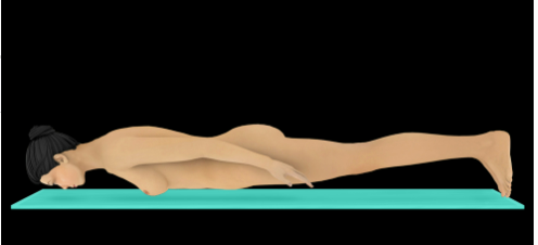 knowt flashcard image